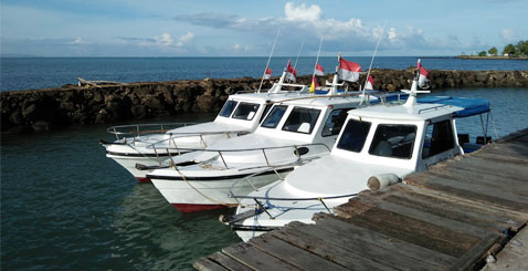 Speed Boat diving, snorkeling, fishing